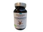 Harpagophytum haute concentration bio-60 comprimés-Dietaroma