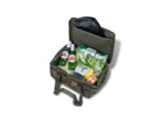 cool bag 20l big freeze nash