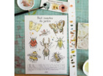 Affiche A5 - Huit insectes du jardin à peindre