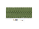 Double passepoil vert c051 11mm le mètre 42029