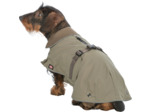 TRIXIE, Manteau HERMY 2 en 1