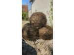 Pelote FLOCON (80% Kid mohair 20% soie) - Moka