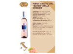 Pinot Grigio Rosé Blush DOC 75cl
