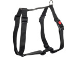 Harnais en H - Noir - Flamingo