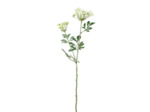 Fleur Artificielle Ammi Blanche en Polyester Haute Tige 74cm