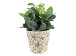 Pot motif floral rose vert céramique beige 17x17x16cm