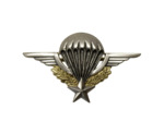 Brevet Militaire de Parachutisme DELSART (numéroté)