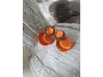 BOUCLES D'OREILLES DORMEUSES Orange