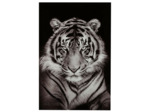Décoration murale tigre verre trempe noir blanc 150x100x2cm