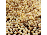 Fregola Bio Di Toscana 500G