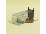 Piège à rat