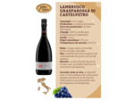 Lambrusco Grasparossa Di Castelvetro DOP 75cl