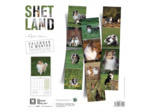 Calendrier chien 2025 - Shetland - Martin