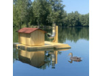 Mangeoire pour canards spécial îlot flottant