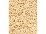 MENU Nature, cacahuètes décortiquées - 1KG