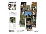 Calendrier chien 2025 - Cavalier King Charles - Martin