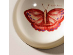 Presse papier papillion rouge verre 4x8x8cm