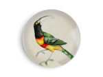 Dessous de plat Toucan Dolomite 20x20x2cm