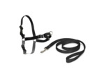 HARNAIS EASY WALK® pour chien - Taille L
