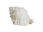 Lampe à poser coquillage blanc en résine 43x22x17cm