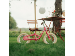 DRAISIENNE EVOLUTIVE 2 ROUES - 2 à 4 ans
