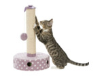Junior poteau griffoir pour chat/chaton