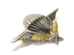 Brevet Militaire de Parachutisme DELSART (numéroté)
