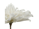 Fleur Artificielle Nenia Blanche en Polyéthylène Haute Tige 95cm