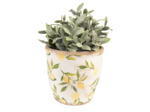 Pot citron jaune vert céramique beige 16x17x17cm