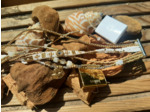 BRACELET STAR OF GOLD