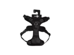 Harnais Bobby confort noir pour chiens