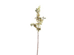 Plante Artificielle Grappe de Baies Jaunes avec Feuilles en Polyester 65cm