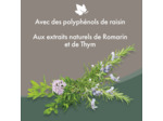 Lait nettoyant pour les oreilles des chiens et chats - 125 ml - BEAPHAR