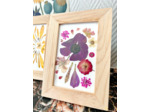 Petit herbier fleuri