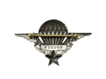Brevet Militaire de Parachutisme DELSART (numéroté)