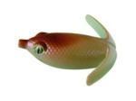 basiriski 7cm deps