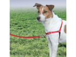 HARNAIS EASY WALK® pour chien - Taille L