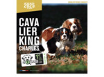 Calendrier chien 2025 - Cavalier King Charles - Martin