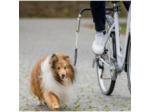 Biker-Set pour chien