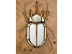 Miroir Scarabée Rhinocéros Doré résine 37x6x25cm