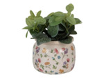 Pot de fleurs coloré céramique 20x20x15cm