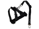 Harnais + ceinture de sécurité pour chien de voiture - 30-60cm
