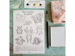 Affichette - Huit insectes du jardin à peindre