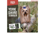 Calendrier chien 2025 - Yorkshire - Martin