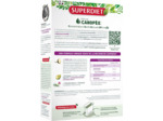 QUATUOR DIGESTION AMPOULE 20X15ML SUPER DIET