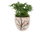 Pot de fleurs d'intérieur beige et marron en céramique14x13cm