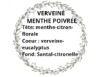 Bougie Botanique Verveine Menthe