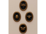 Ensemble 4 cadres insectes Entomologie 13x17cm