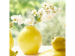 Vase Lemon jaune céramique 13x13x15cm
