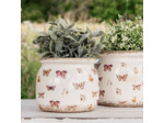 Pot de fleurs d'intérieur Beige 12x10cm